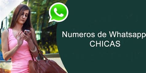 citas chicas soltera|Conocer Gente por WhatsApp y Buscar Números de。